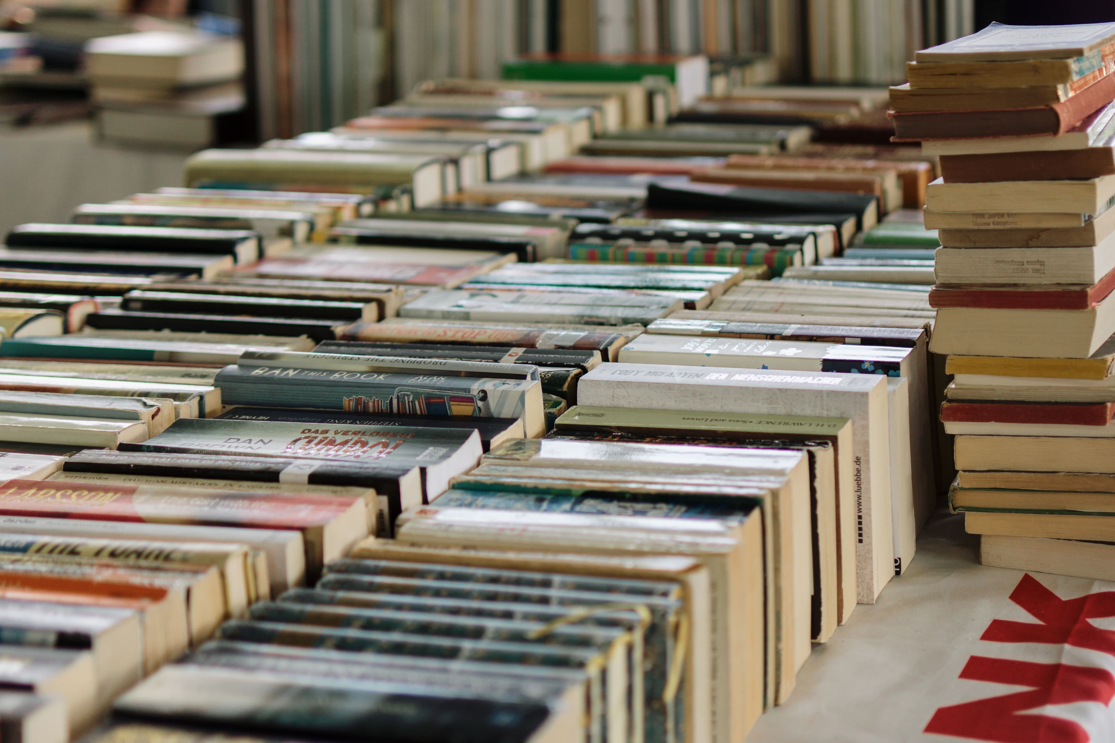 A row of contemporary book spines on a shelf