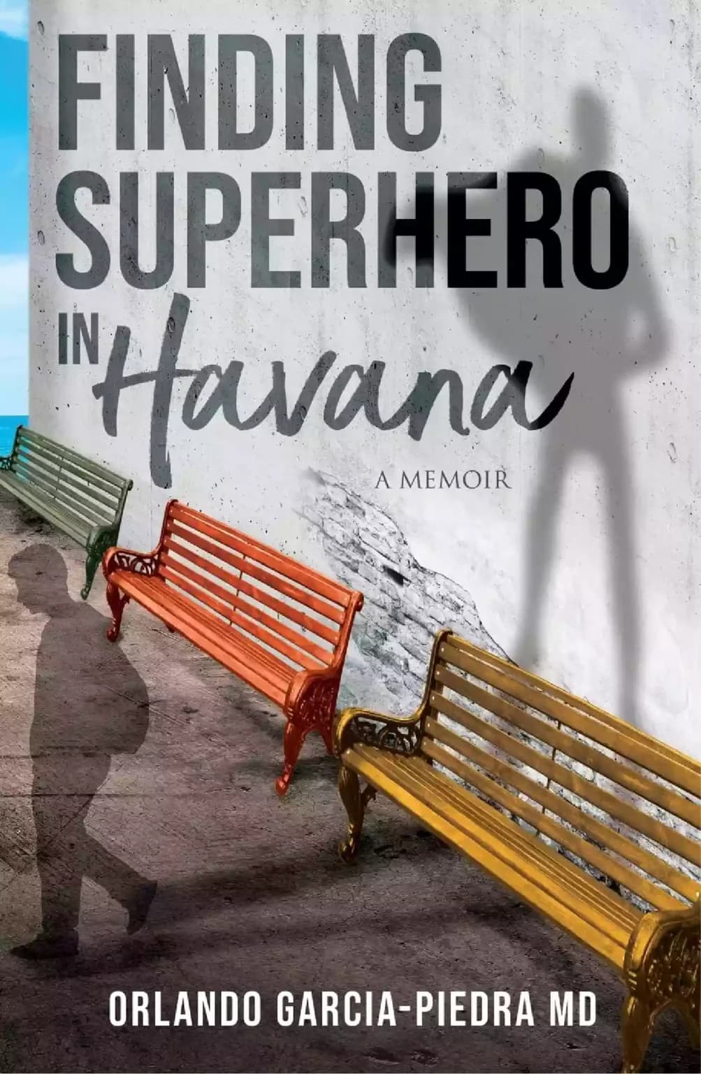 Biography book cover 4 by Hoggard Publishers