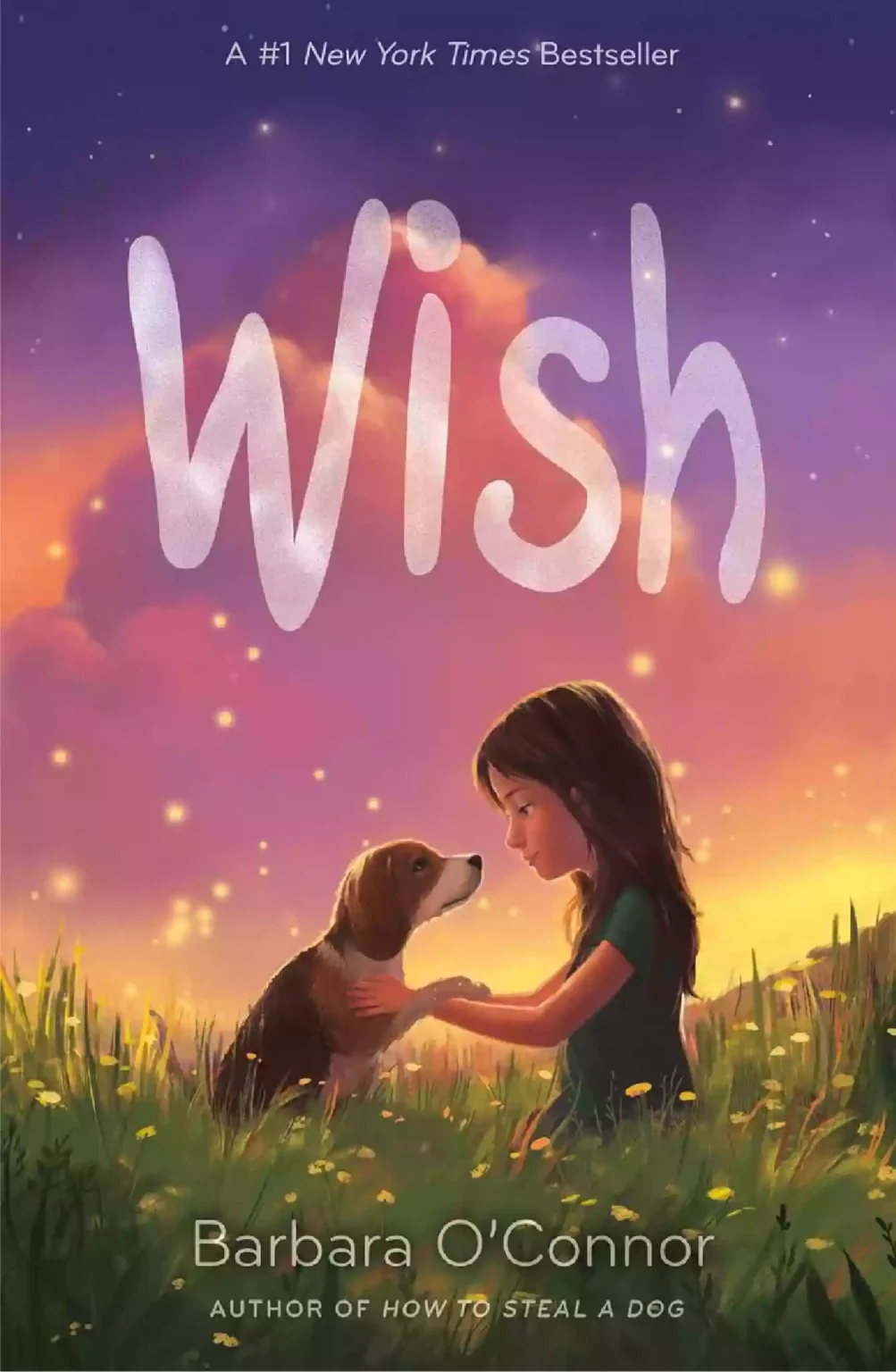 Children book cover 6 by Hoggard Publishers